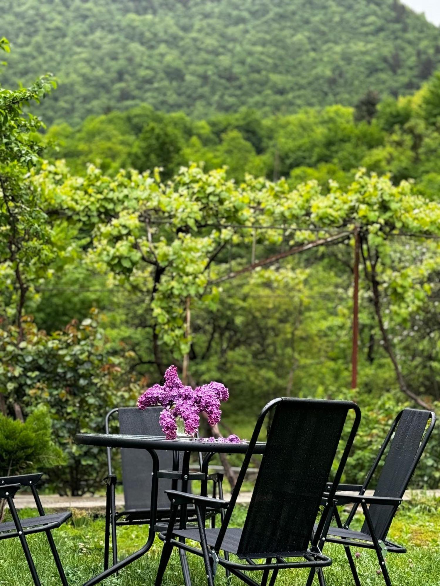 Family Hotel Mountain Panorama Боржоми Экстерьер фото